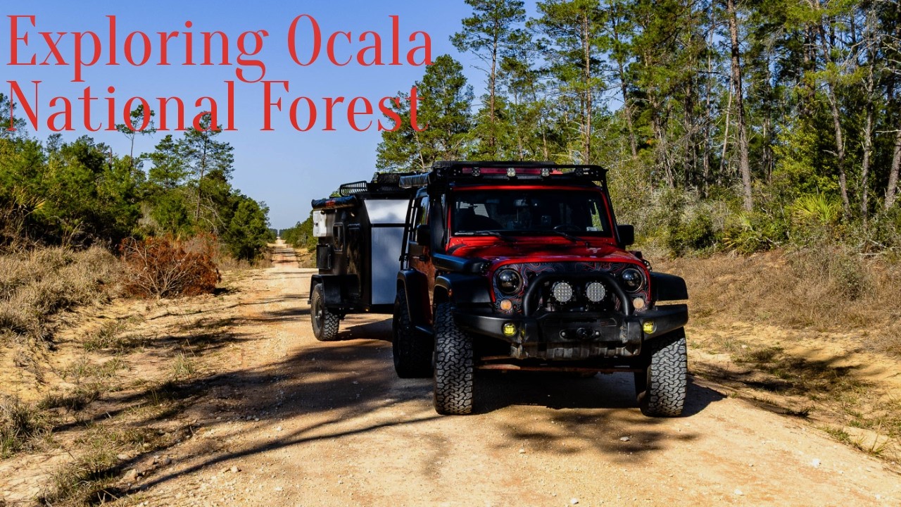 Ocala National Forest 2/24/26 #adventure #jeepadventures #jeepoverland