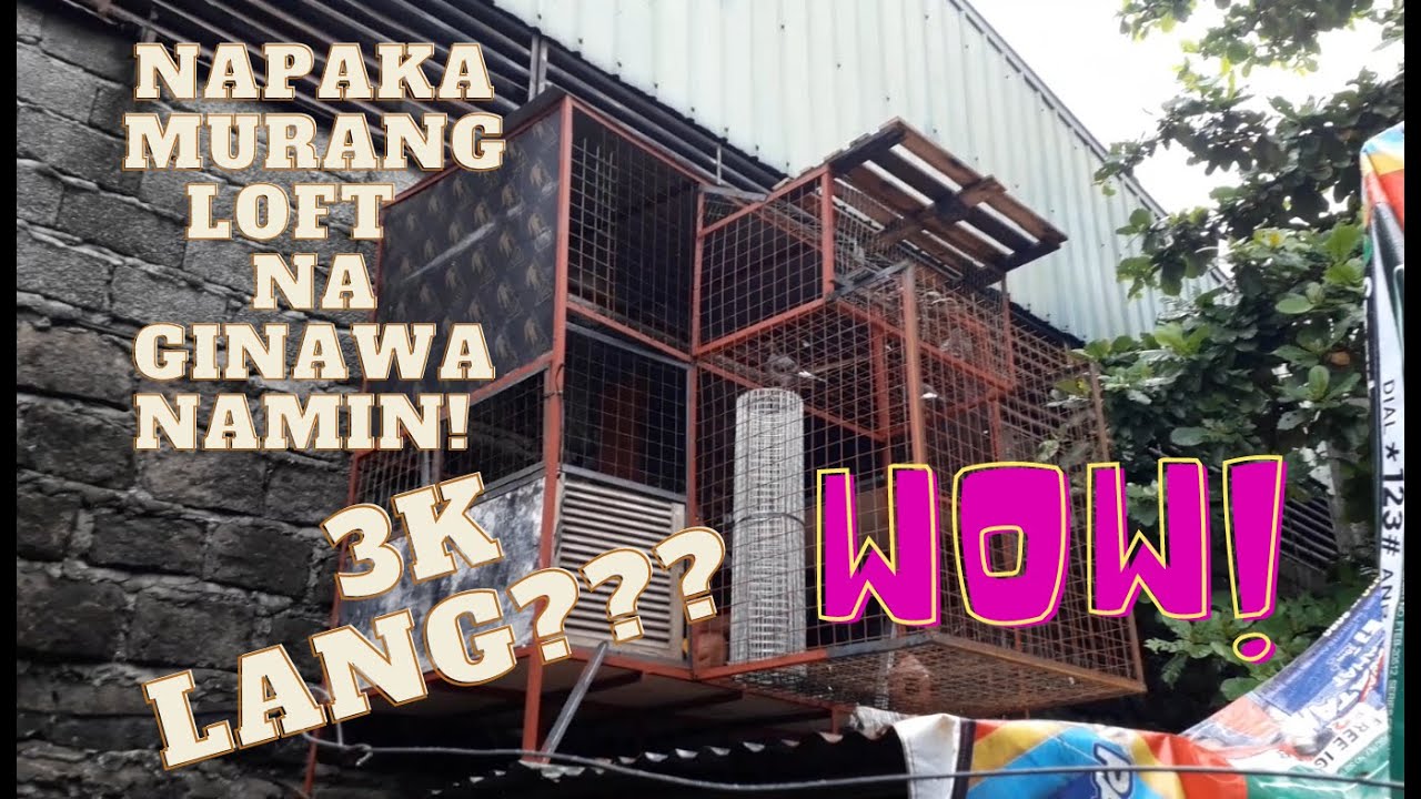 DIY PIGEON LOFT 3,000 PESOS LANG NAGASTOS KO