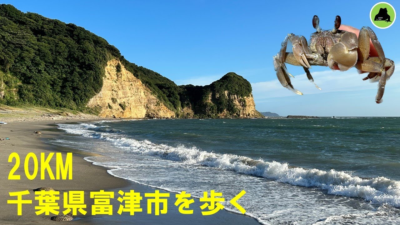 【20KM】千葉県富津市の海岸を歩く