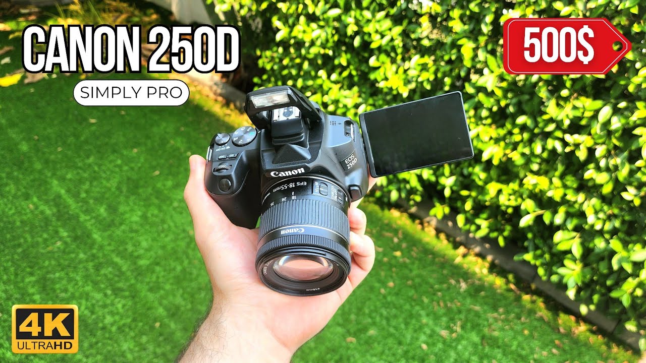 Цена любительской профессиональной зеркальной камеры — Canon 250D (обзор)
