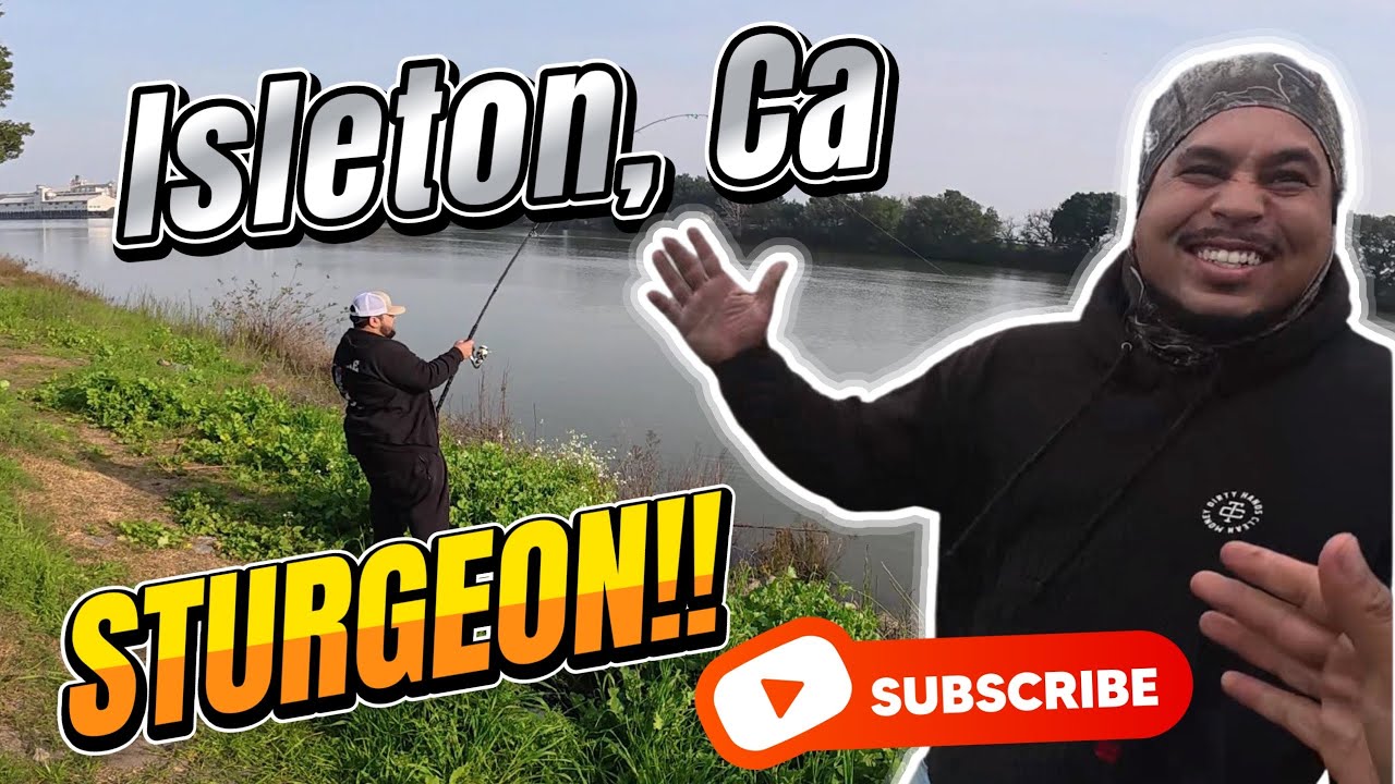 Striper Fishing Isleton, Ca