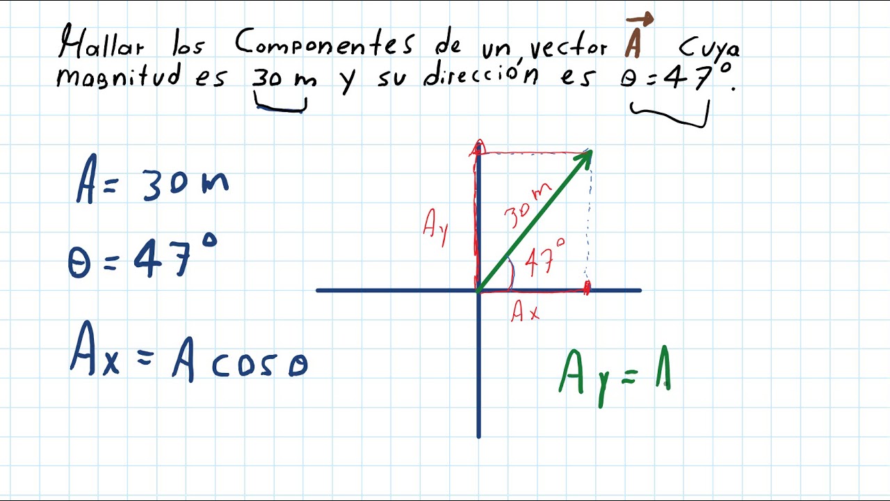 Como calcular los componentes de un vector