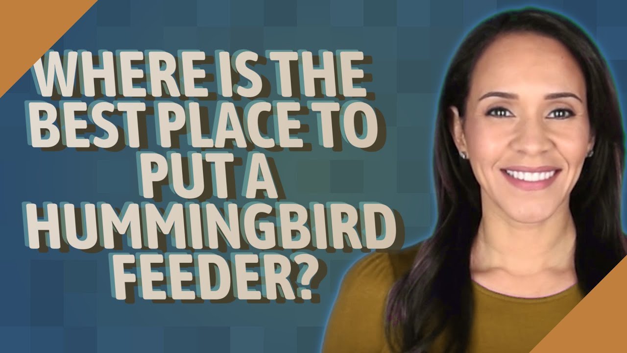 Where is the best place to put a hummingbird feeder?
