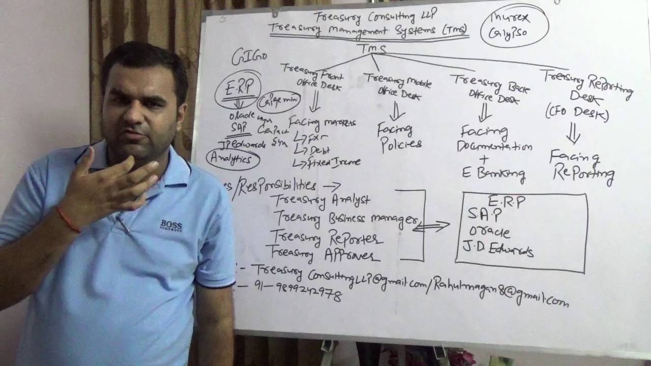Treasury Management Systems (TMS)