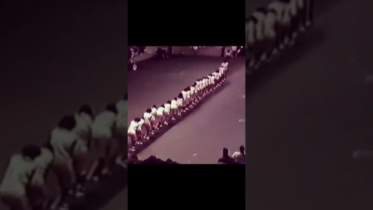 The Alpha chapter of Alpha Kappa Alpha at Howard University in 1987 #shorts #hbcu