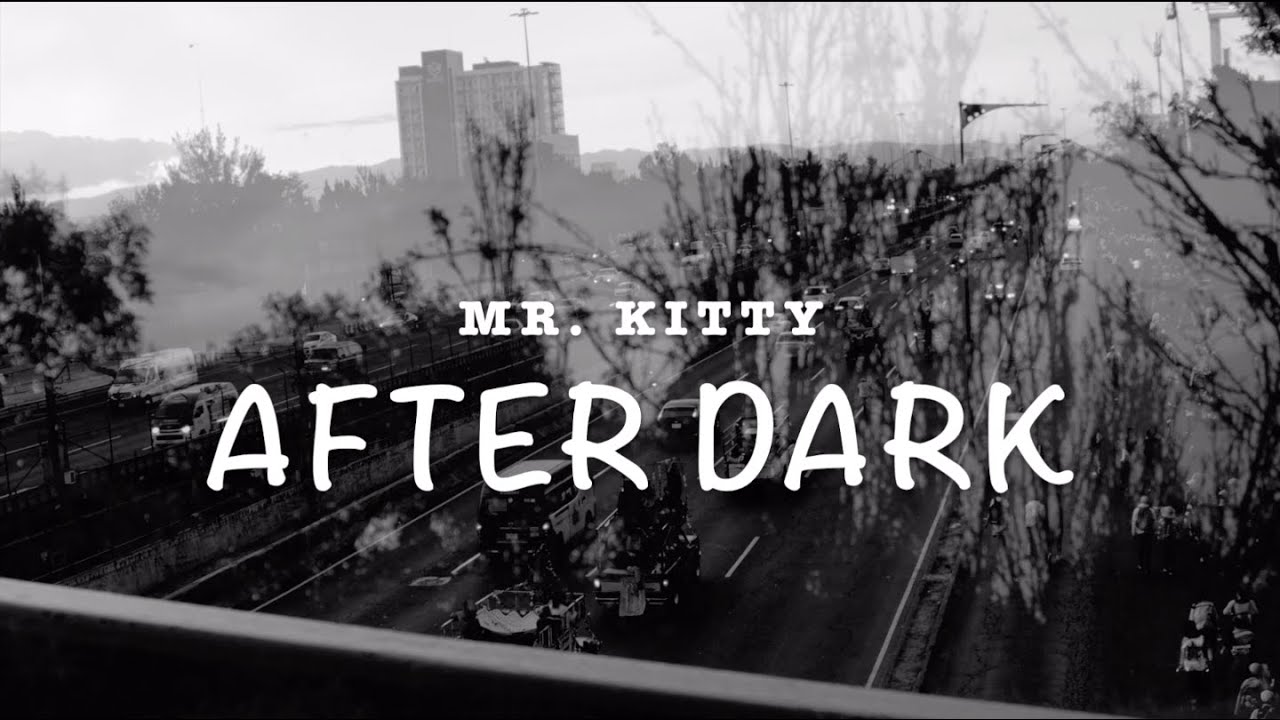 AFTER DARK - MR. KITTY COVER (SYNTHWAVE)