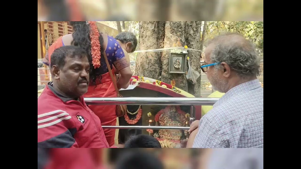 Sri Harihareswara Balaga - 17-02-26 - Sri Ganesha and Nagara Pooja 