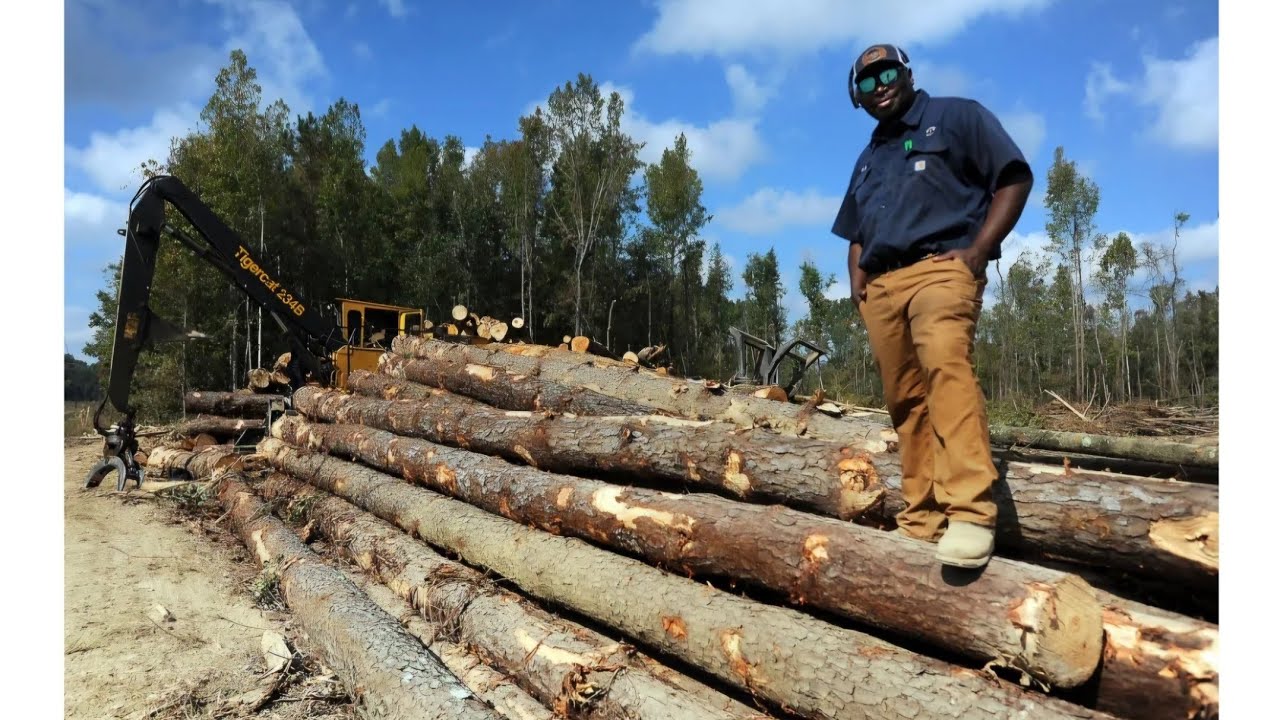 Mississippi Logging: Logger Says It's Always Something