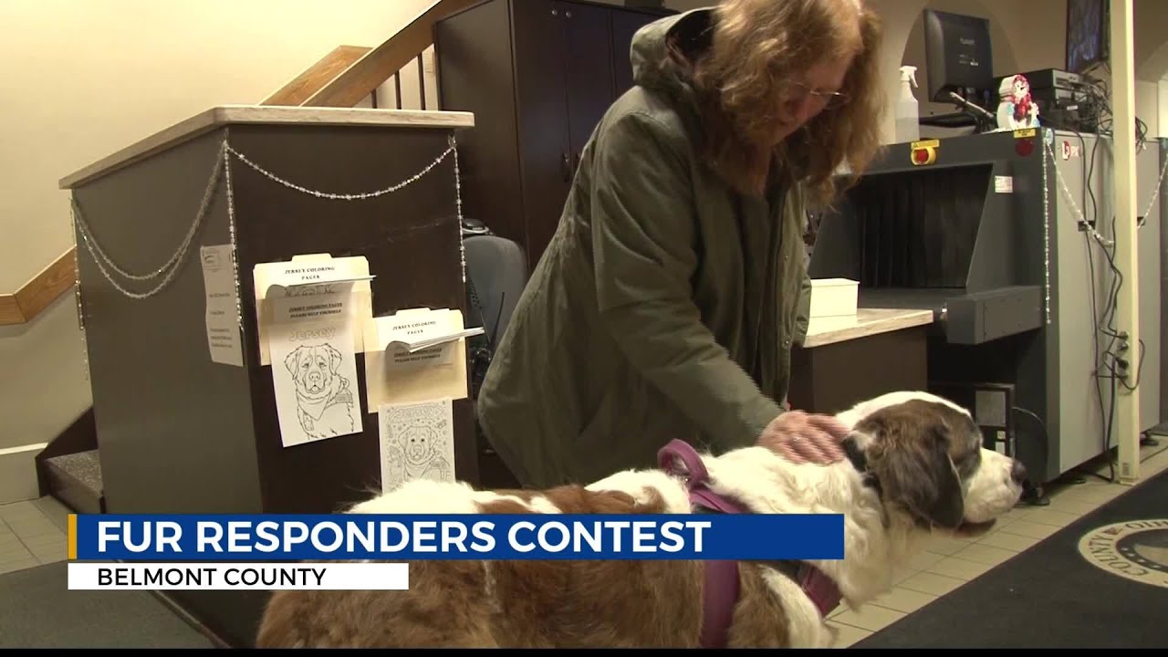 Four-legged first responder Jersey going for statewide recognition through 'Fur Responders' contest