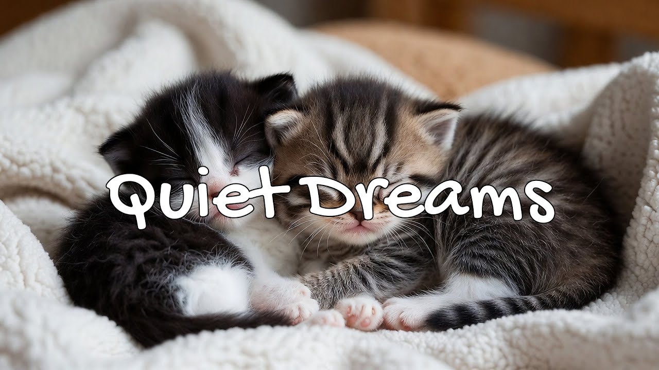 Cat Calm Night Music 🔥 Cat Sleep Music - Warm Fireplace Rest  | Season 1 | 24/7 Lofi Radio 📻