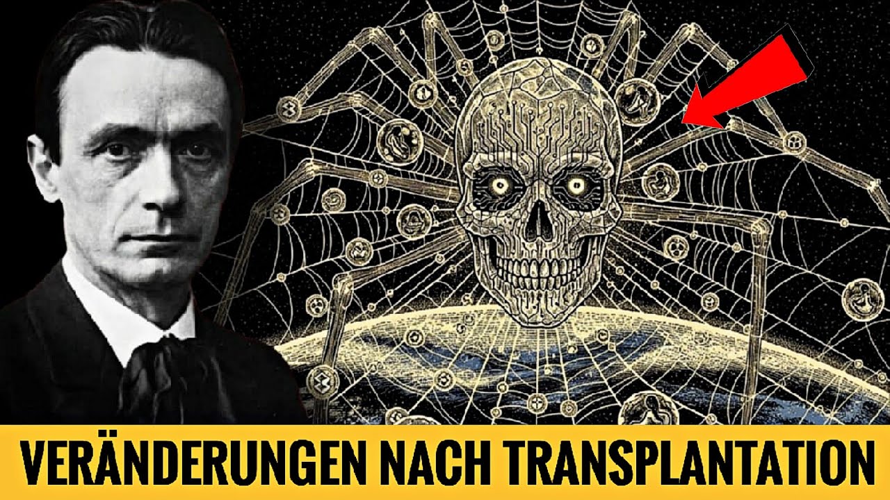 Warum kommt es nach einer Organtransplantation zu Persönlichkeitsveränderungen?