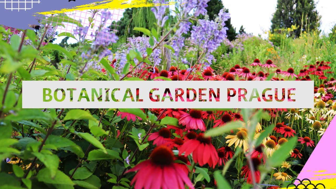 Botanical Garden Prague | Czechia #CzechGardenTour #PragueSightseeing #adventure #nature