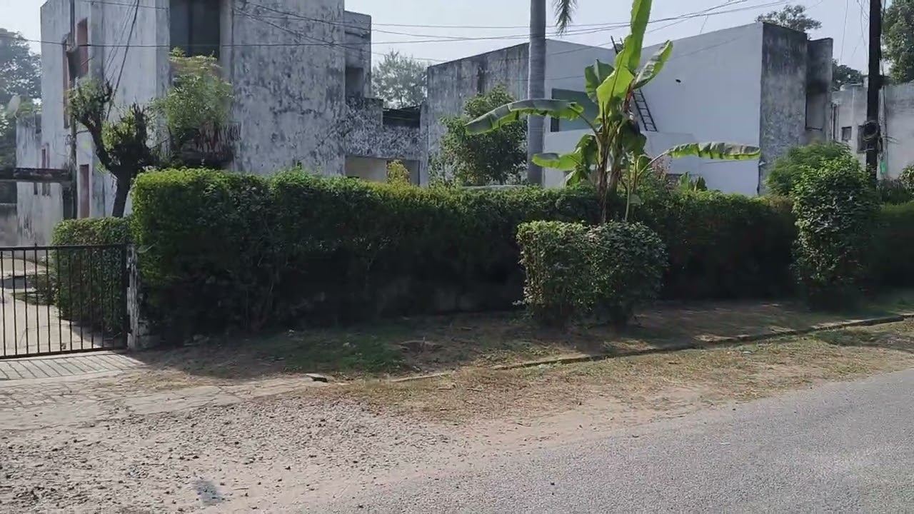 Assalam walekum rahmatullahi wa barakatuh Mashallah bahut acchi dhup nikali hai aaj