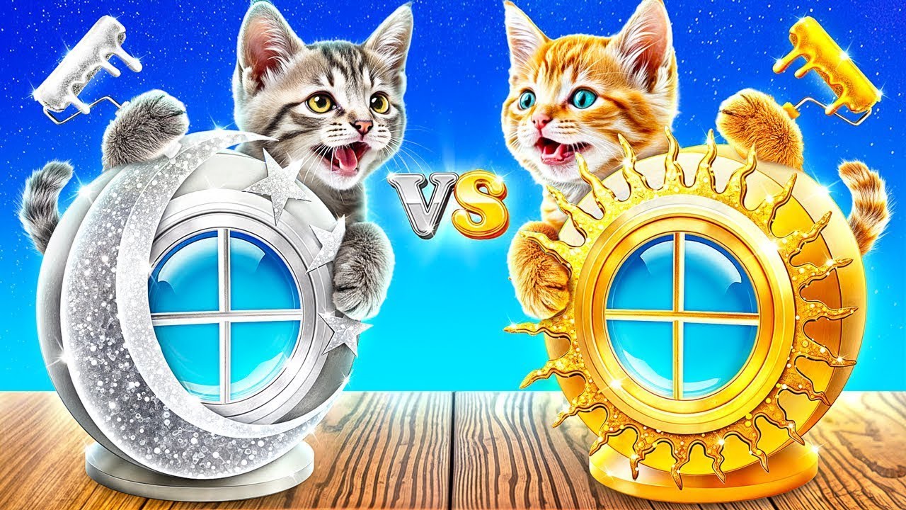 Cum Se Face O Cameră Secretă Pentru Pisoi! Pisoi De Aur vs Pisoi De Argint!