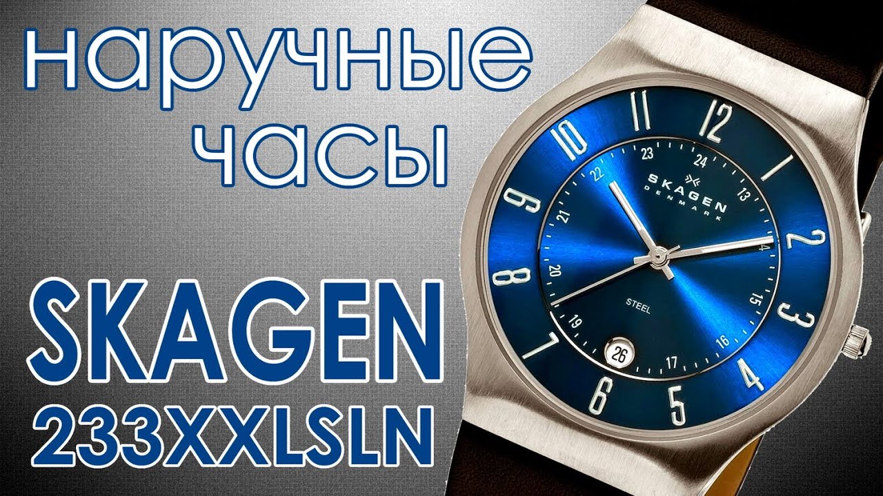 Мужские наручные часы Skagen (233XXLSLN)