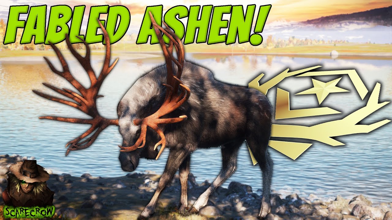 Switching Maps Got Us A FABLED ASHEN GREAT ONE MOOSE With The .338 Bolt Action! Call of the wild
