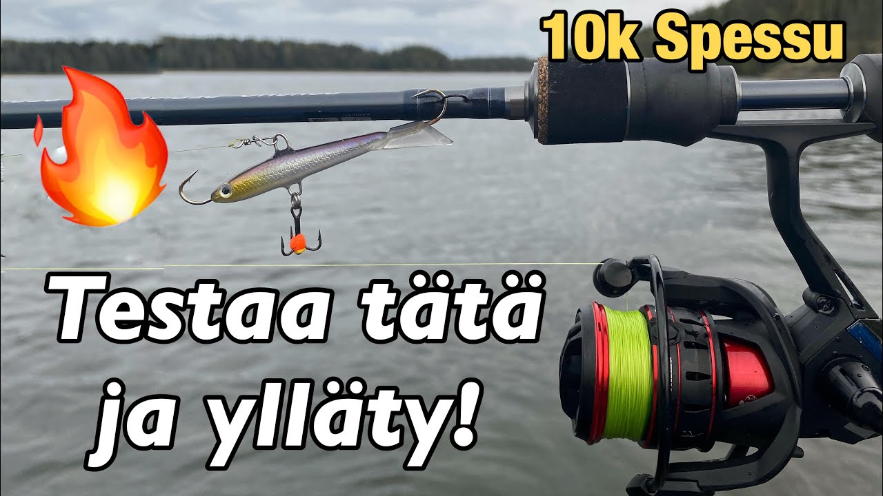 Ahvenen jigausta tasurilla | 10K SPESSU