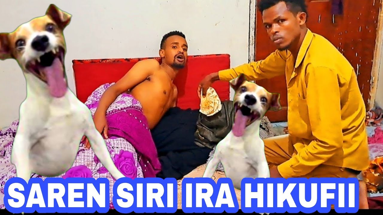 #Ane_jalala Sirin Isa Saren🐕 Hidhamtee Saren Hikuf Yanaa☝️🤲😭😭December 27, 2025