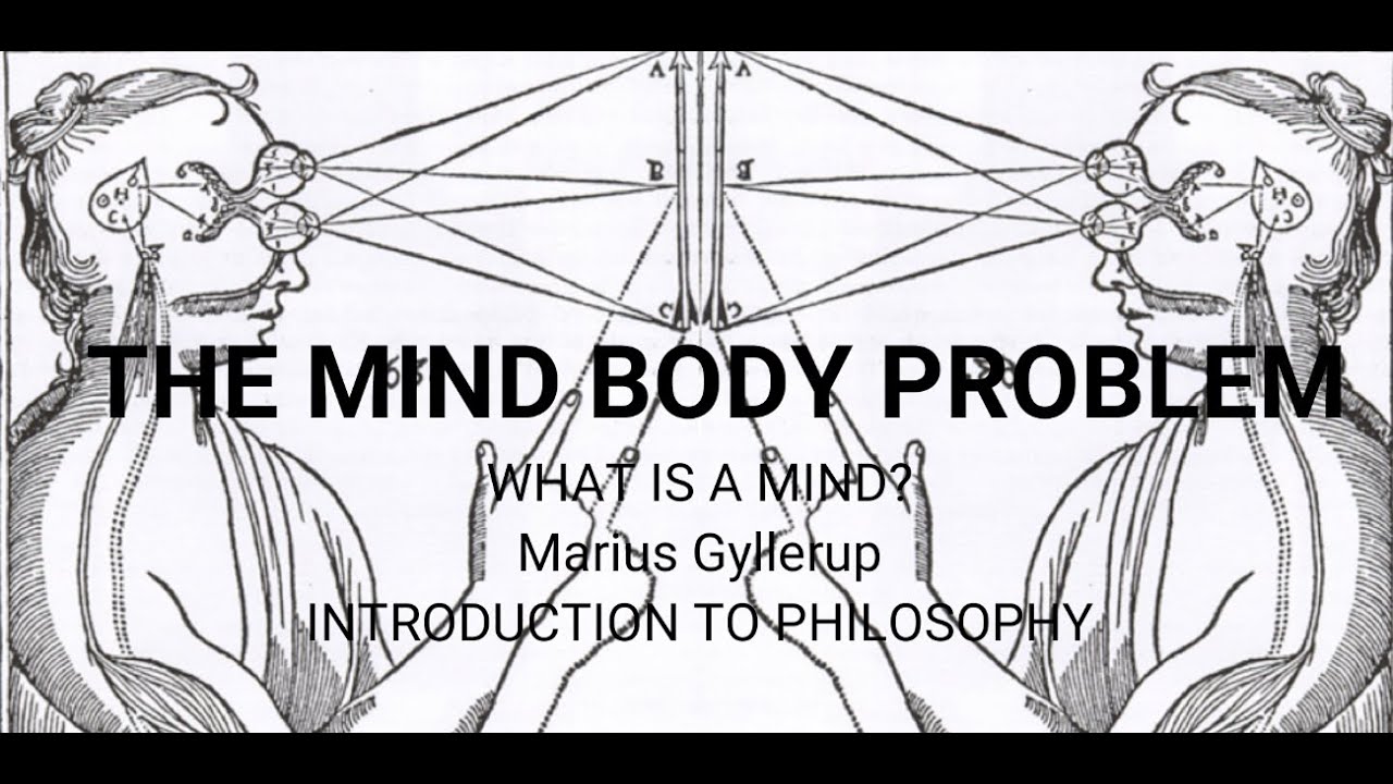 Mind Body Problem, Final Project by Marius Gyllerup
