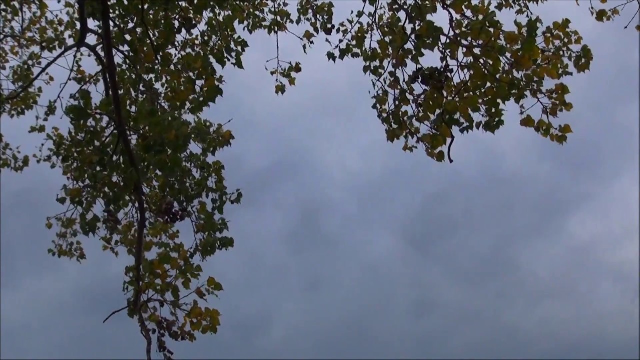 Overtone Singing Throat Singing Nature Music