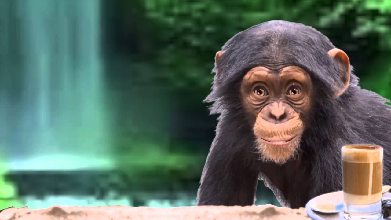 random words of wisdom, funny and true