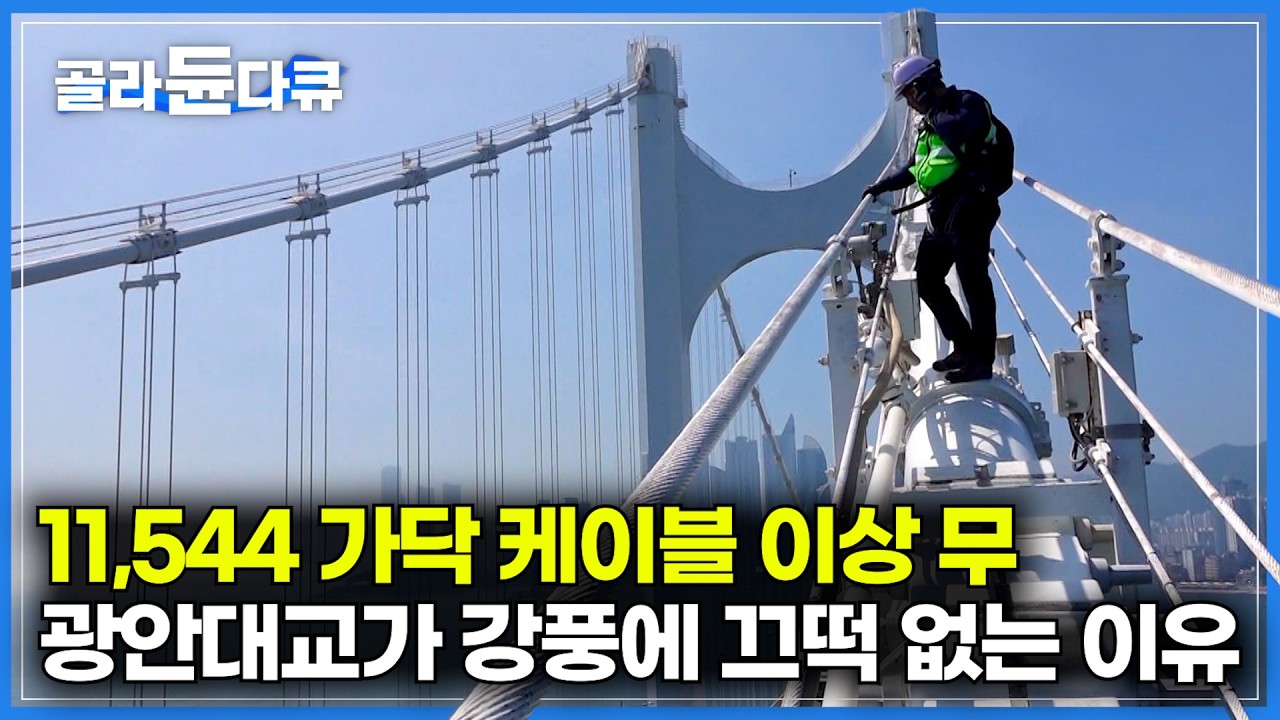 지붕이 날아갈 정도의 강풍에도 광안대교가 안전한 이유｜11,544 가닥 케이블 이상 무. 엄청난 구조의 광안 대교 내부 공개｜극한직업｜#골라듄다큐