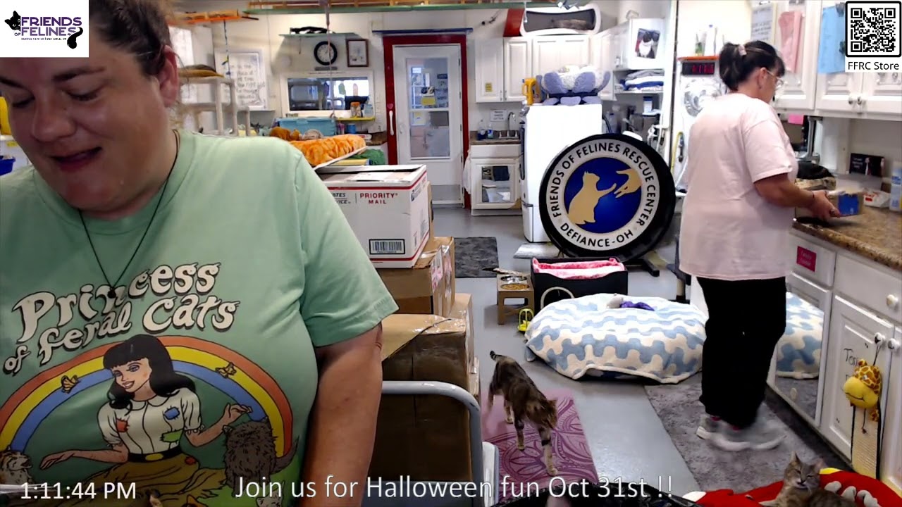 Boxes and Updates 10-29-2024  Friends of Felines Rescue Center (FFRC)