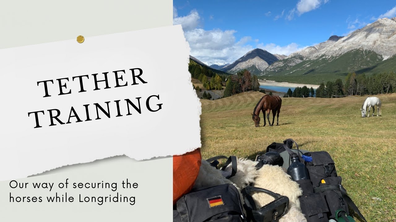 Tether training for securing your horse on a longride