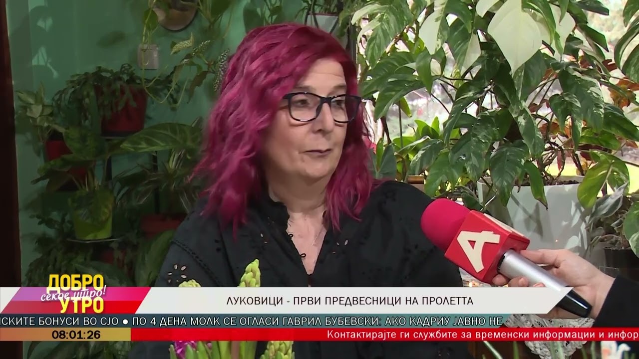 Луковици - први предвесници на пролетта