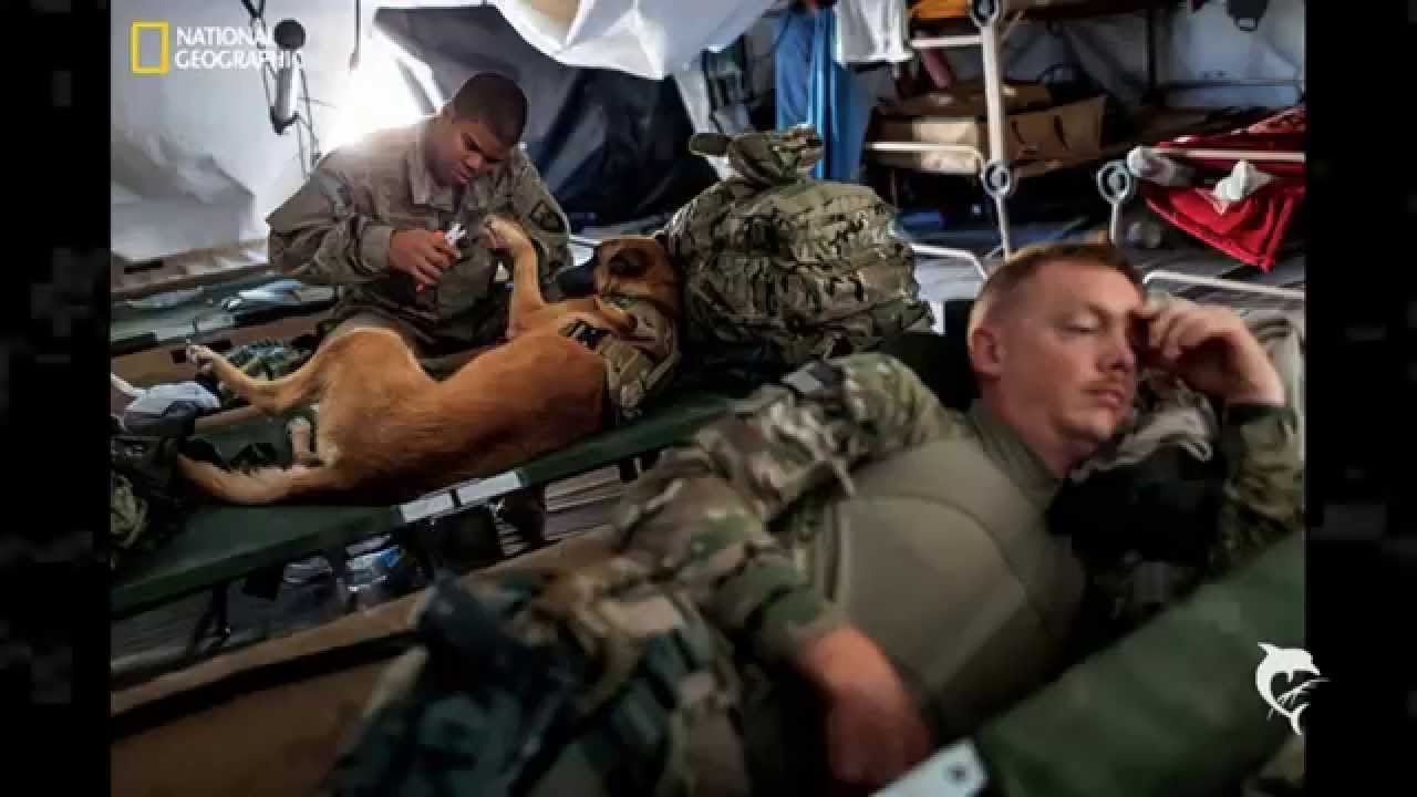 War Dogs 