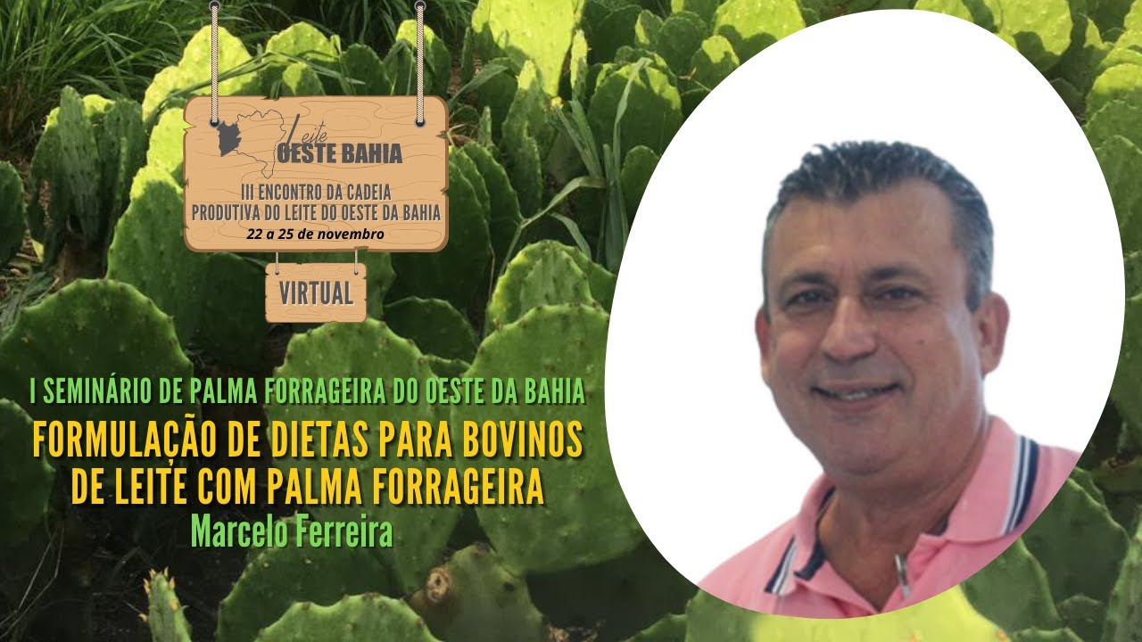 FORMULAÇÃO DE DIETAS PARA BOVINOS DE LEITE COM PALMA FORRAGEIRA