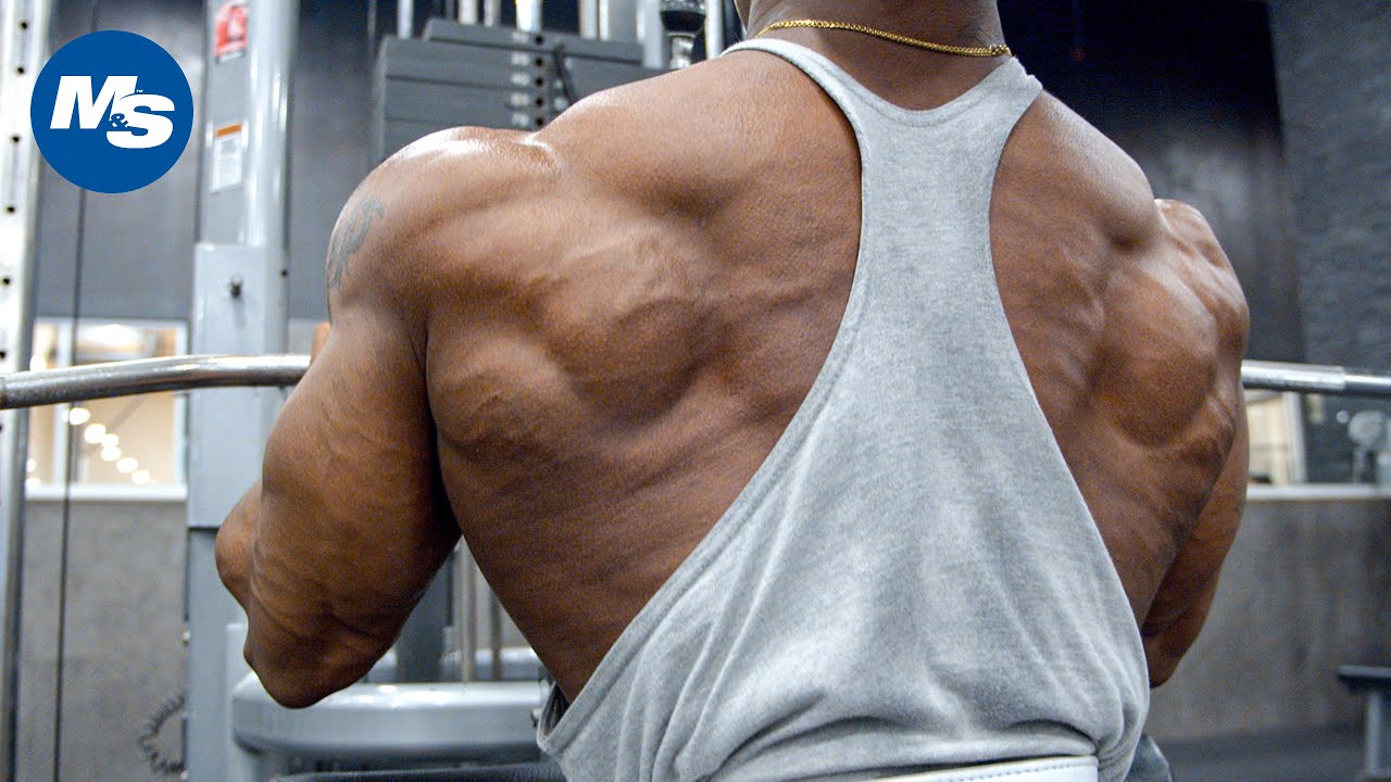 Freaky Back Vascularity! Brandon Hendrickson's Prep Back Workout