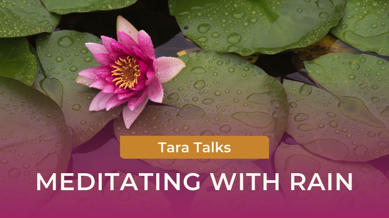 Meditating with RAIN: Mindfulness and Self-Compassion Practice with Tara Brach