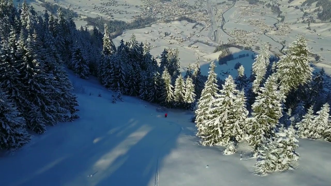 Dude Powder Junkie