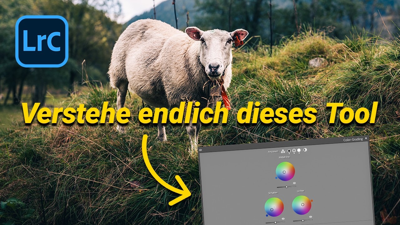 Diese Lightroom Funktion nutzt fast Niemand, obwohl sie so genial ist — Color Grading