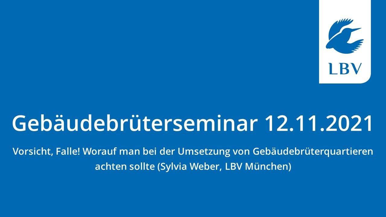 Vorsicht Falle! Worauf man bei der Umsetzung von Gebäudebrüterquartieren achten sollte(Sylvia Weber)