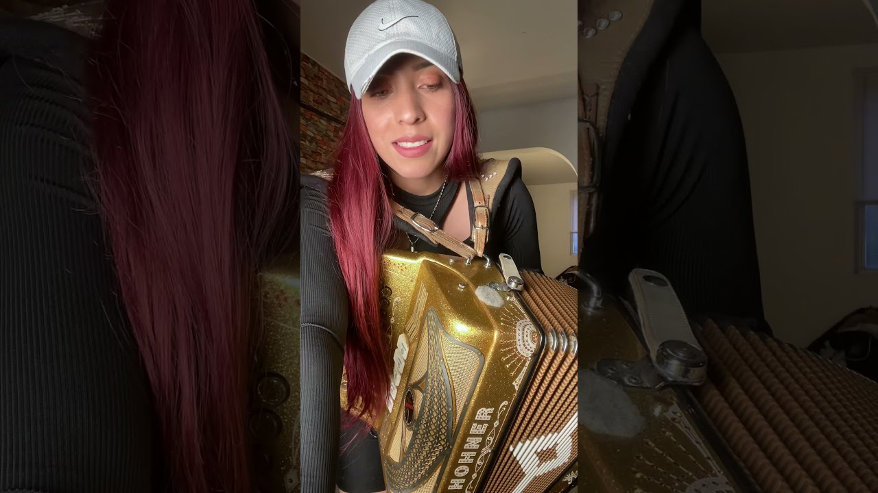 Que Acordeon es mejor?