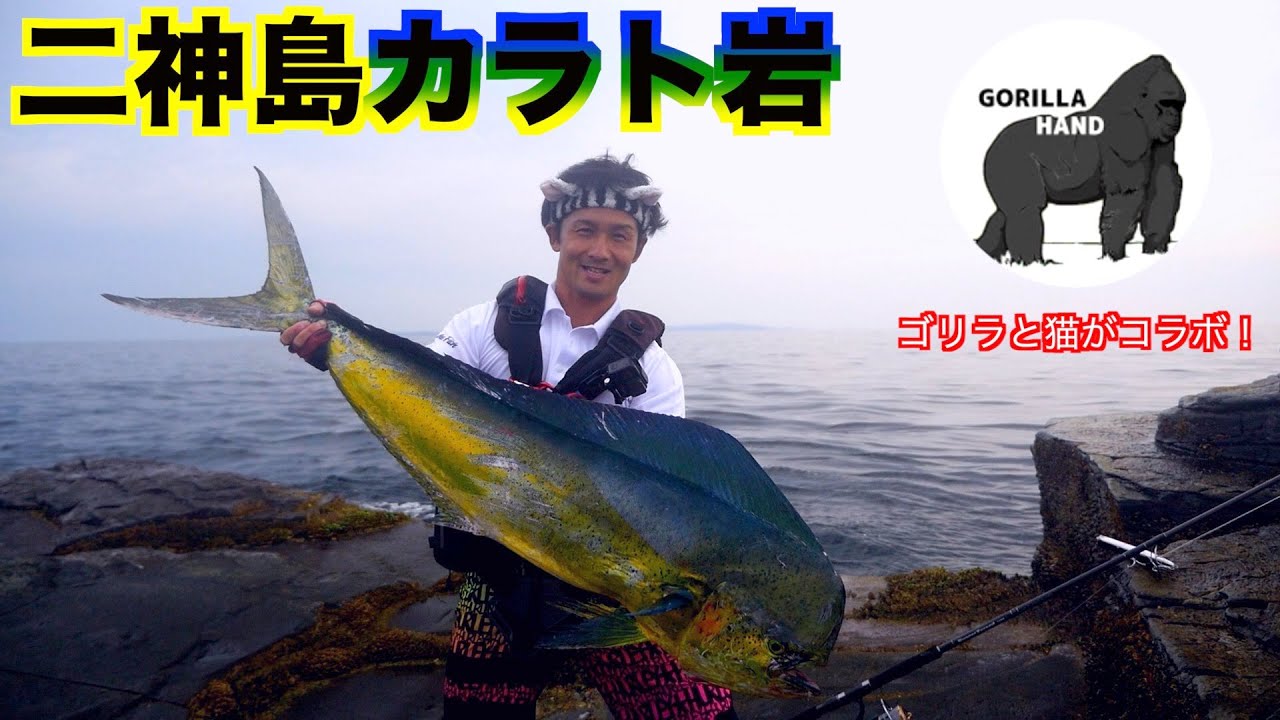 【ゴリラハンドTVコラボ】ゴリラと猫で行く！二神島カラト岩！
