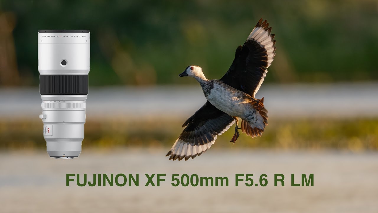 Fujifilm XF 500mm f5.6 lens + X-H2S 