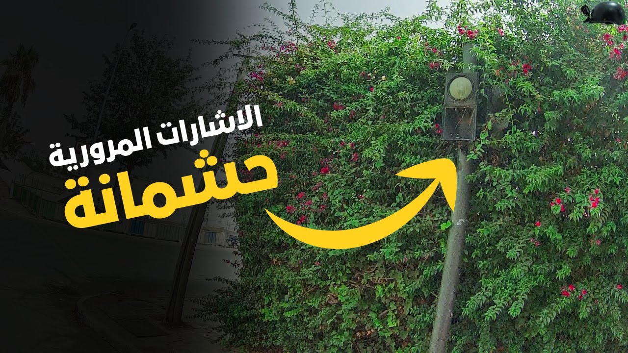 اشارات مرورية 🚦 مخبية وكتسنى تشوفك 👀​ باش تعطيك مخالفة  💶