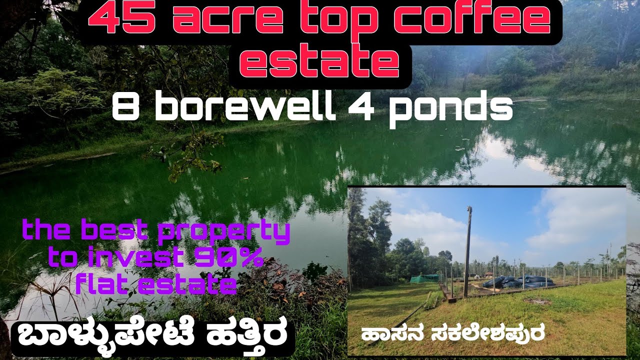 (#416)💐45 acre the best coffee estate. Near sakaleshpura ballupete.95% flat land.8 borewell.4 pond👌🏻