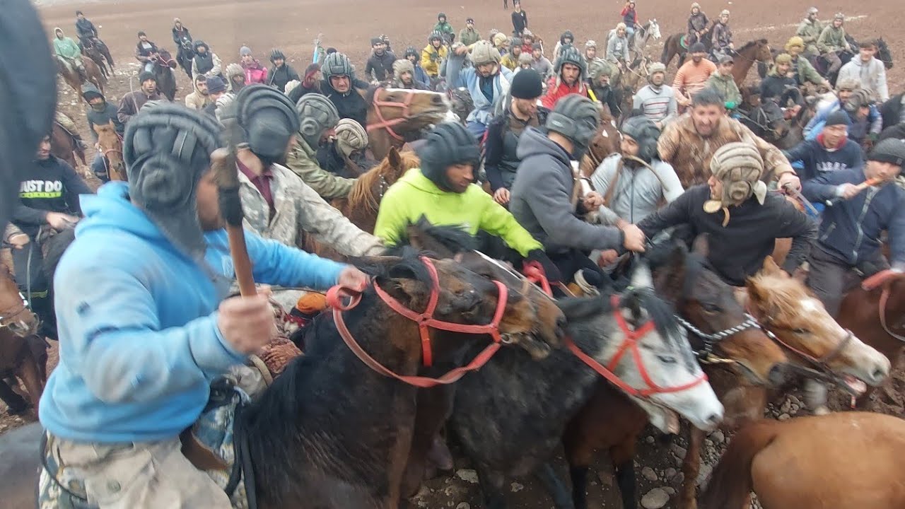 БУЗКАШИ | ЧИЛДАРА ПАШОР | ДАВОМ ДОРАД |