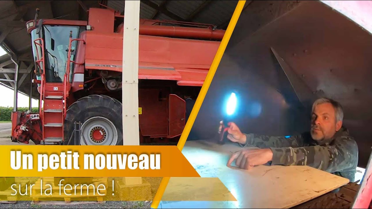 Ca bichonne dur sur la ferme.