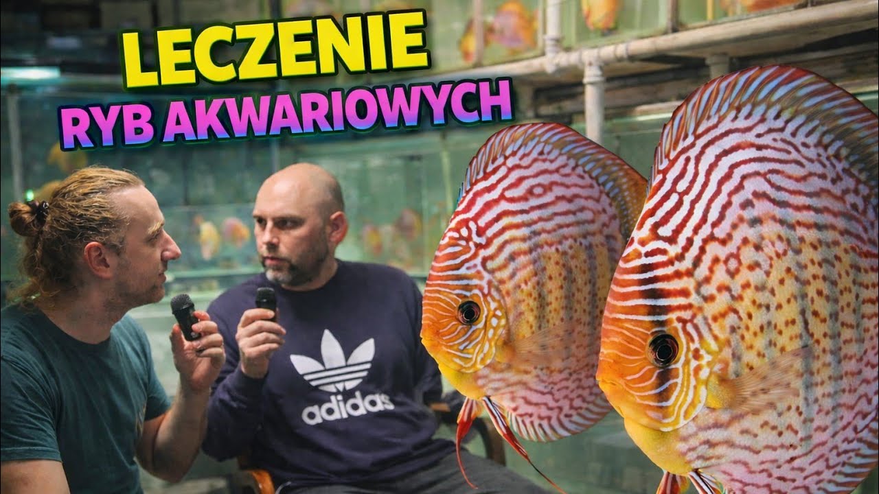 Leczenie ryb akwariowych 