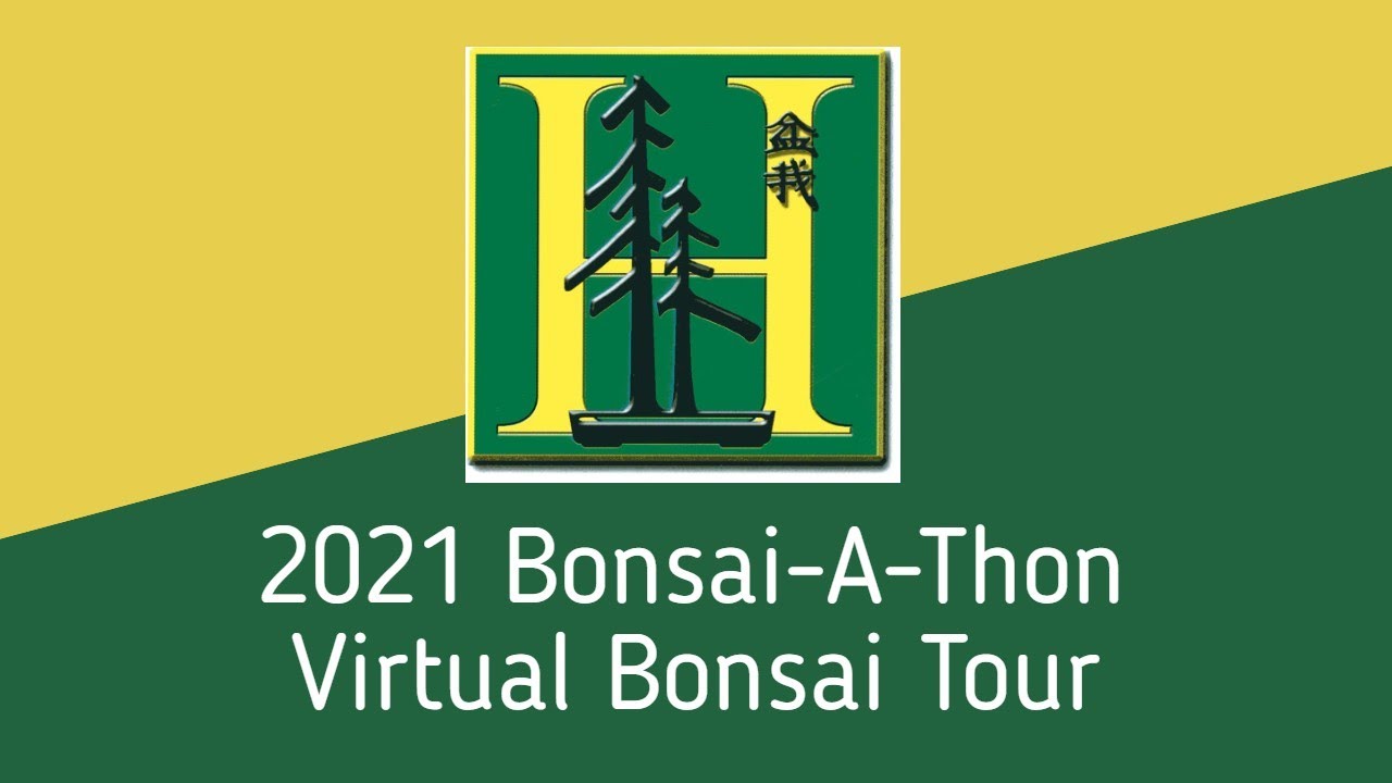 2021 Bonsai-A-Thon - Virtual Bonsai Tour with Ted Matson