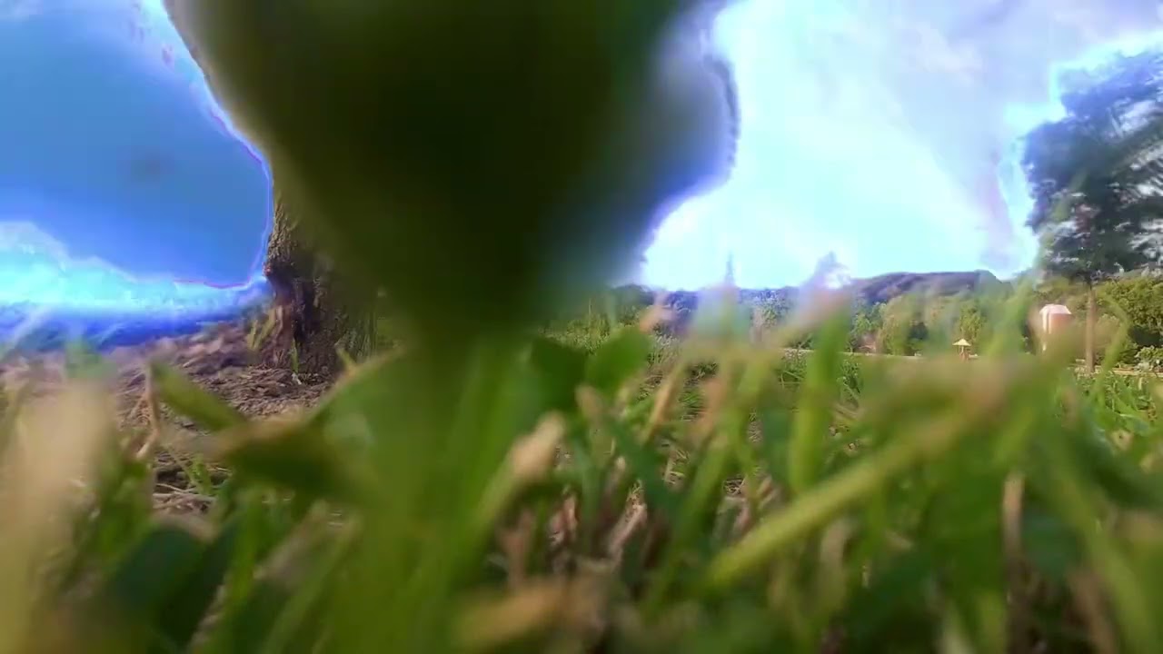 Park Tour - summer