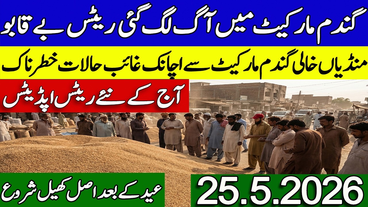New Gandum Rates Today 2026 || New Wheat Price Today || Gundam kay Rates Today 2026