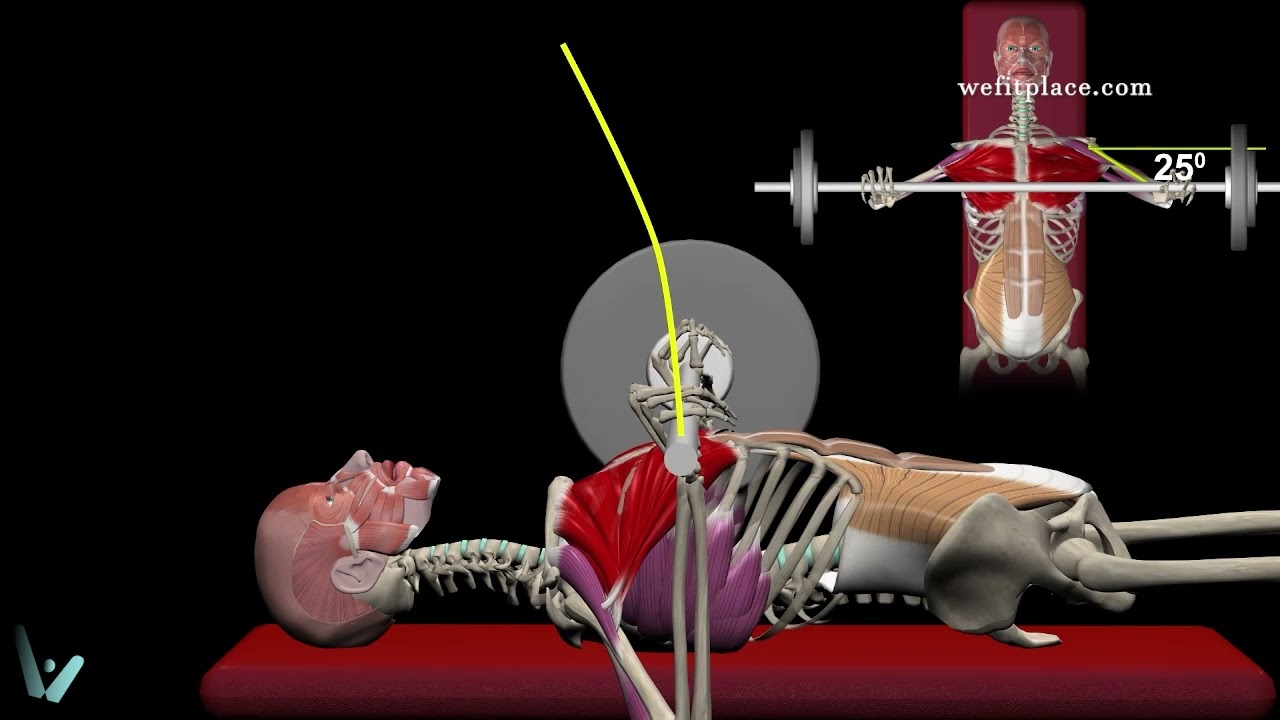 ANÁLISIS BIOMECÁNICO EN 1 MINUTO - PRESS DE BANCA - Pectorales - Fitness - Aprendiendo gym