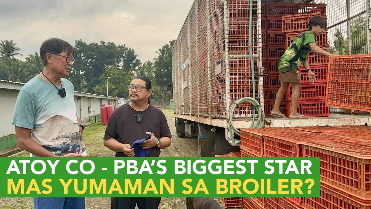 Atoy Co - PBA's Biggest Star - Mas Yumaman sa Broiler Farming?