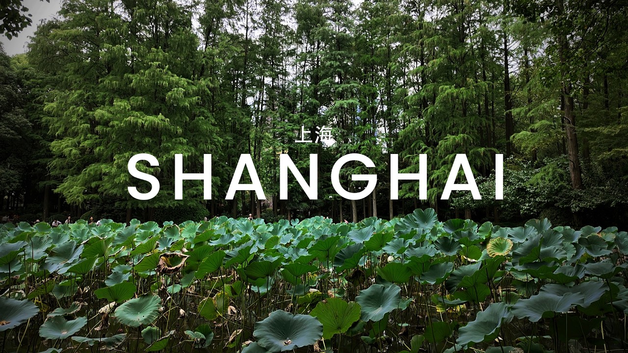 🇨🇳Days in Shanghai | Shanghai Gallery, Cafe and Park🍃